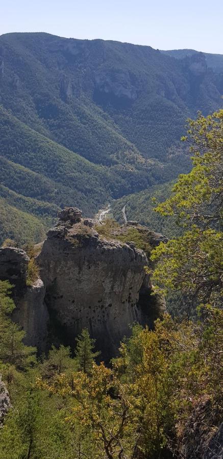 Le Mas Rolland, Piscine Chauffee & Spa - Millau - Gorges Du Tarn Compeyre المظهر الخارجي الصورة